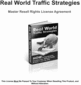 Thumbnail Website Traffic Strategies